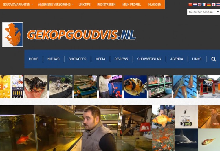 Gekopgoudvis.nl