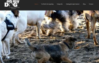 Oh My Dog Rotterdam